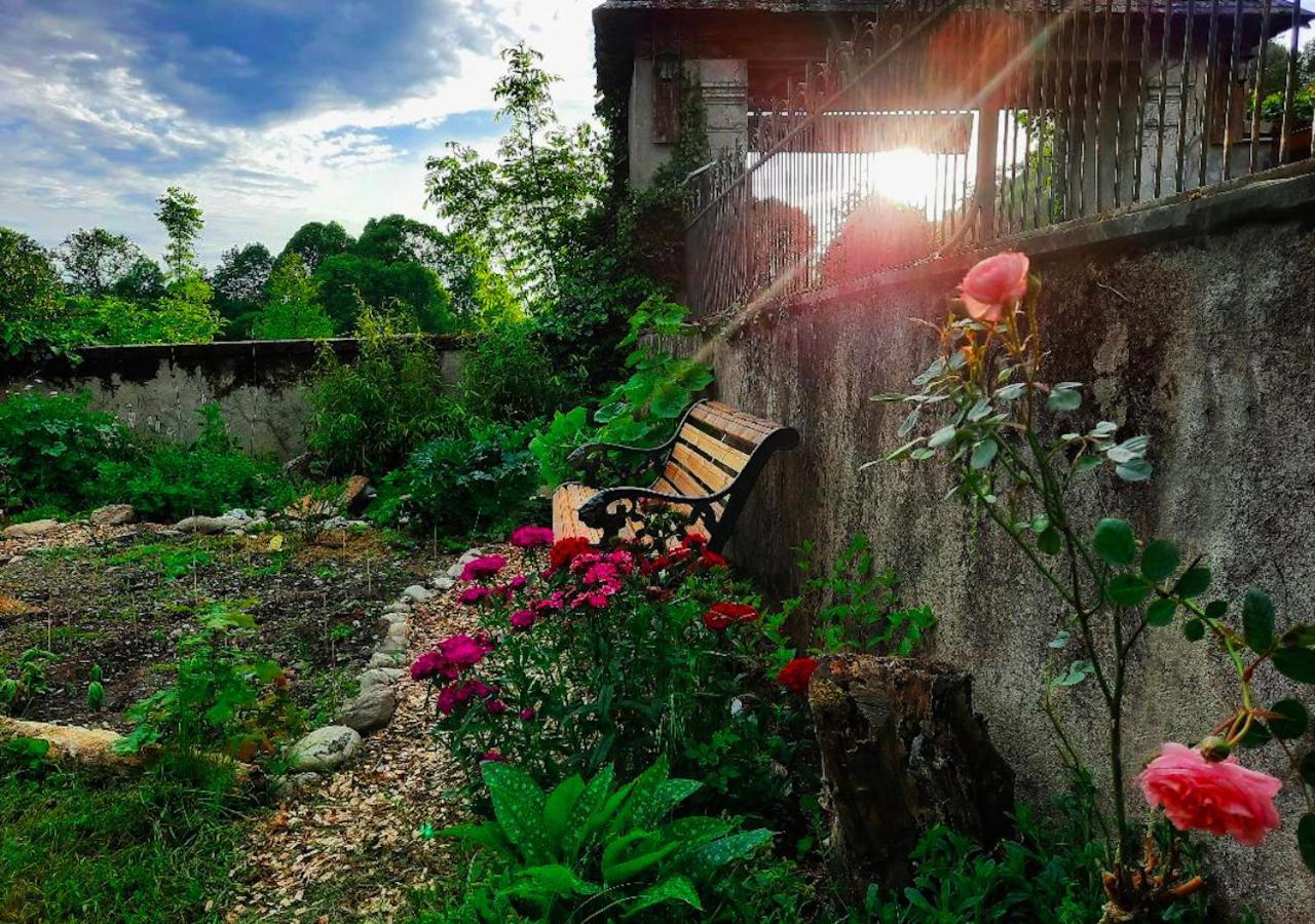 Domaine Lou Castet Bed and Breakfast Tuzaguet Exteriör bild